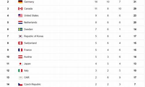 平昌冬奥会奖牌是什么图案,平昌冬奥会奖牌榜奥运会理念